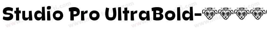 Studio Pro UltraBold字体转换